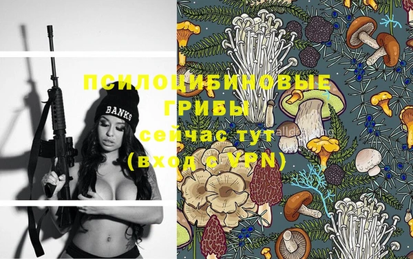 индика Михайловск