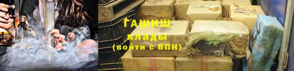 индика Михайловск