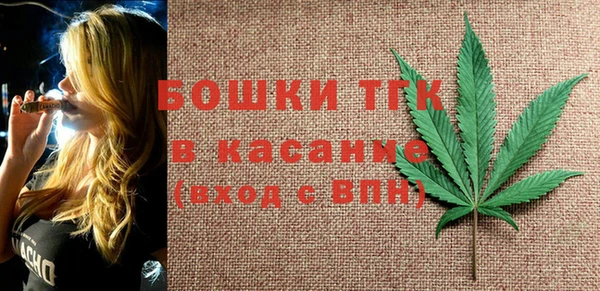 индика Михайловск