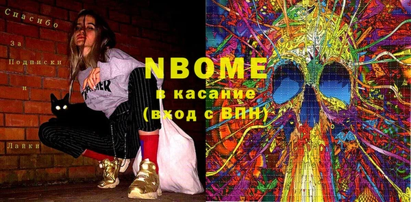 индика Михайловск