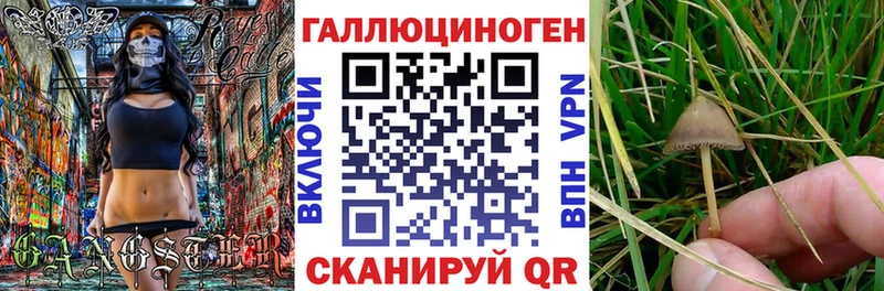 Псилоцибиновые грибы MAGIC MUSHROOMS  Торопец 